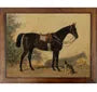 Vintage Horse and Dog 20x16