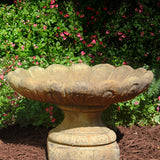 Low Lotus Birdbath