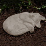 Sleeping Cat