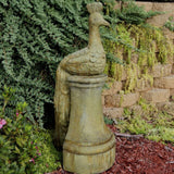 Peacock with Base