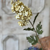 30" Coventry Hydrangea | Cream