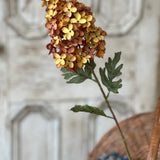 Coventry Hydrangea | 30" | Sedona