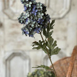 Coventry Hydrangea | 30" | Royalty