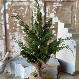 18" Woodland Cedar Tree