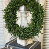 20" Nottswood Leaves Wreath