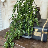 28" Nottswood Leaves Hanging