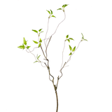 32" Twig Branch