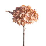 14" MED Hydrangea Brown