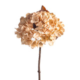 14" MED Hydrangea Cream