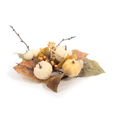 3" Pumpkin CR -OTDR