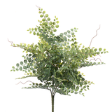 18" Button Fern Bush