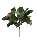 19" Magnolia Bundle