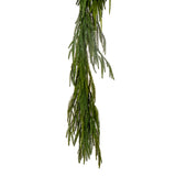 6' Norfolk Pine GLD