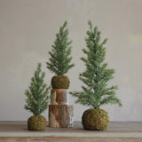 Fir Tree w/Moss Base
